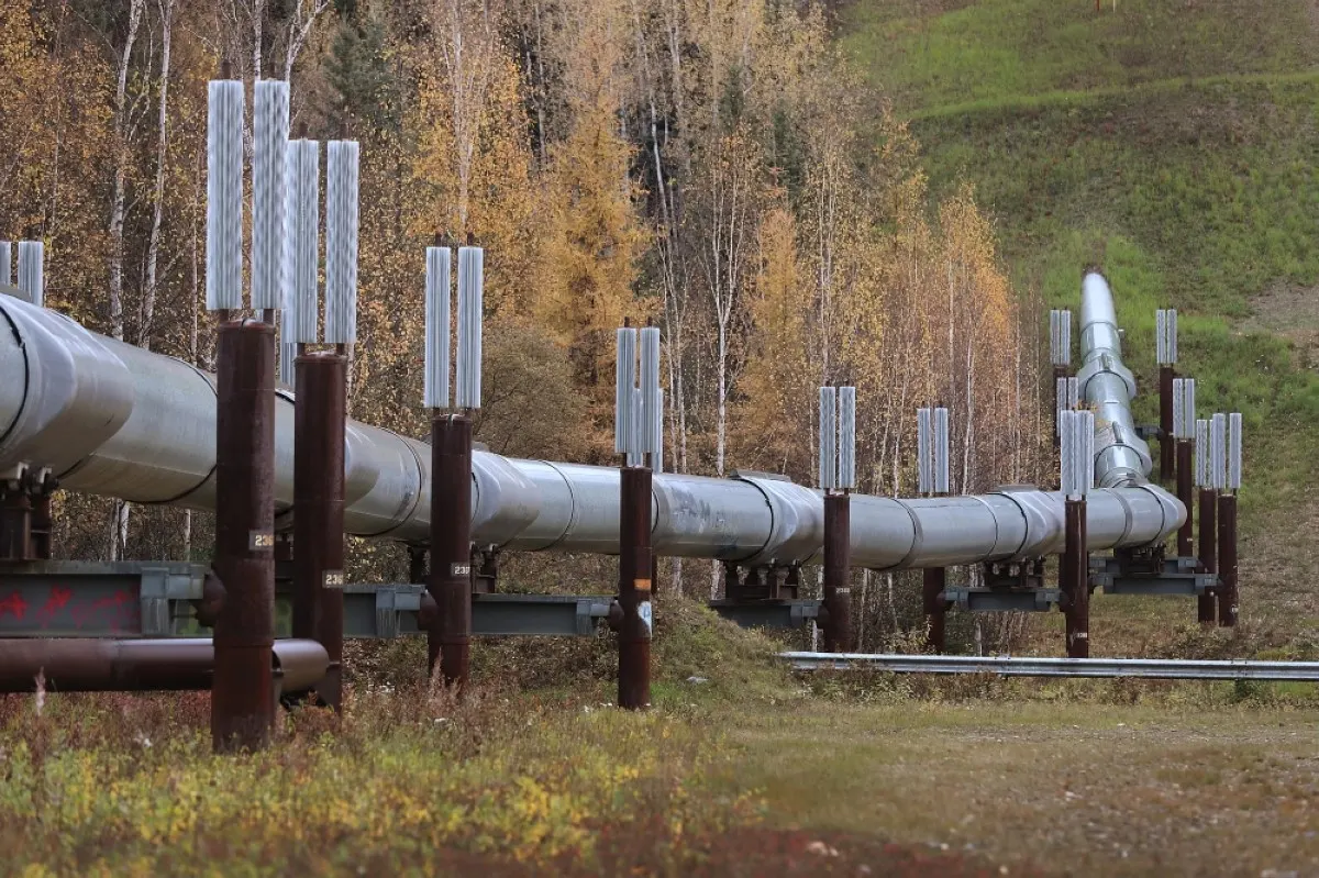 FAIRBANKS: A part of the Trans Alaska Pipeline System is seen in Fairbanks, Alaska. The 800-mile-long pipeline carries oil from Prudhoe Bay to Valdez. – AFP