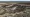 جبل ستوني: منظر جوي لمكب نفايات برايري جرين، حيث يقال إن جثث النساء المقتولات دُفنت، في ستوني ماونتن، مانيتوبا، كندا. 