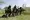 BINDER, Chad: Eco-guards train near the anti-poaching base of the Zah Soo National Park, in Binder, West Mayo-Kebbi. -- AFP

