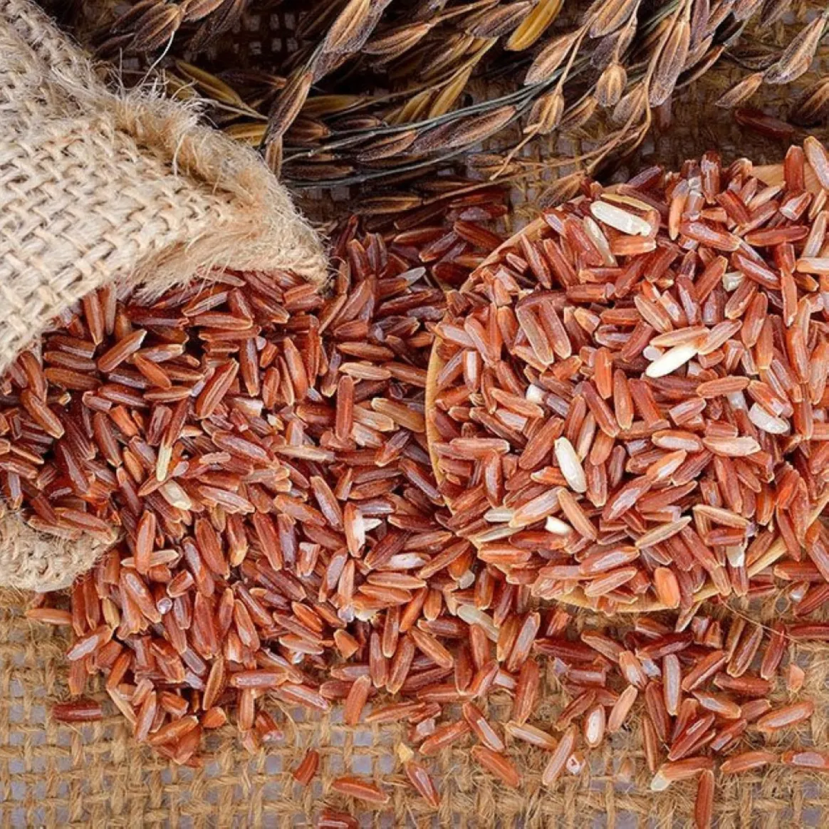 أهمية الأرز الحساوي الغذائية لما يحتويه من النشويات والبروتينات والفيتامينات