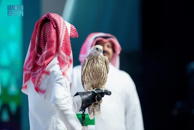 يقدم نادي الصقور السعودي نخبة الصقور في منصة المزاد