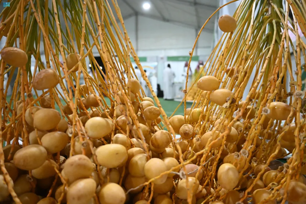 انطلاق فعاليات مهرجان تبوك الثاني للمنتجات الزراعية