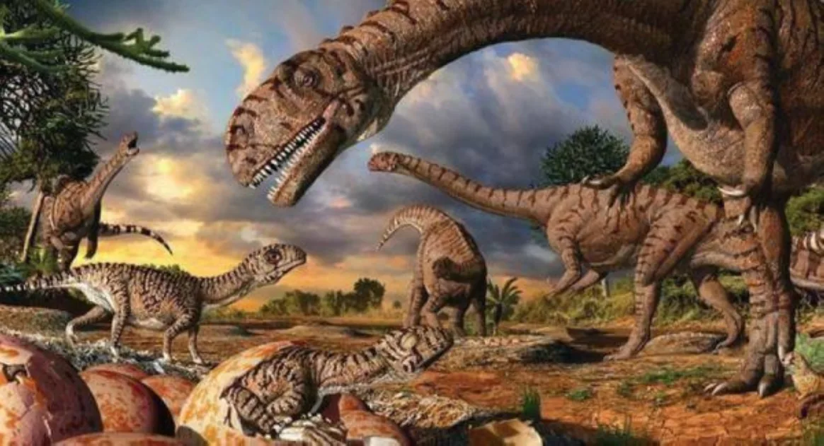 اصطدام كويكب بالأرض تسبب في غبار أدى لحجب الضوء لمدة طويلة فأثر ذلك على الديناصورات