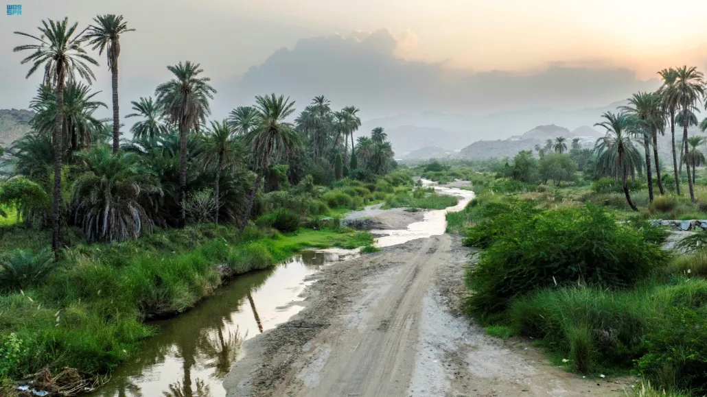 يقع وادي قنونا  بمحافظة العرضيات في منطقة مكة المكرمة