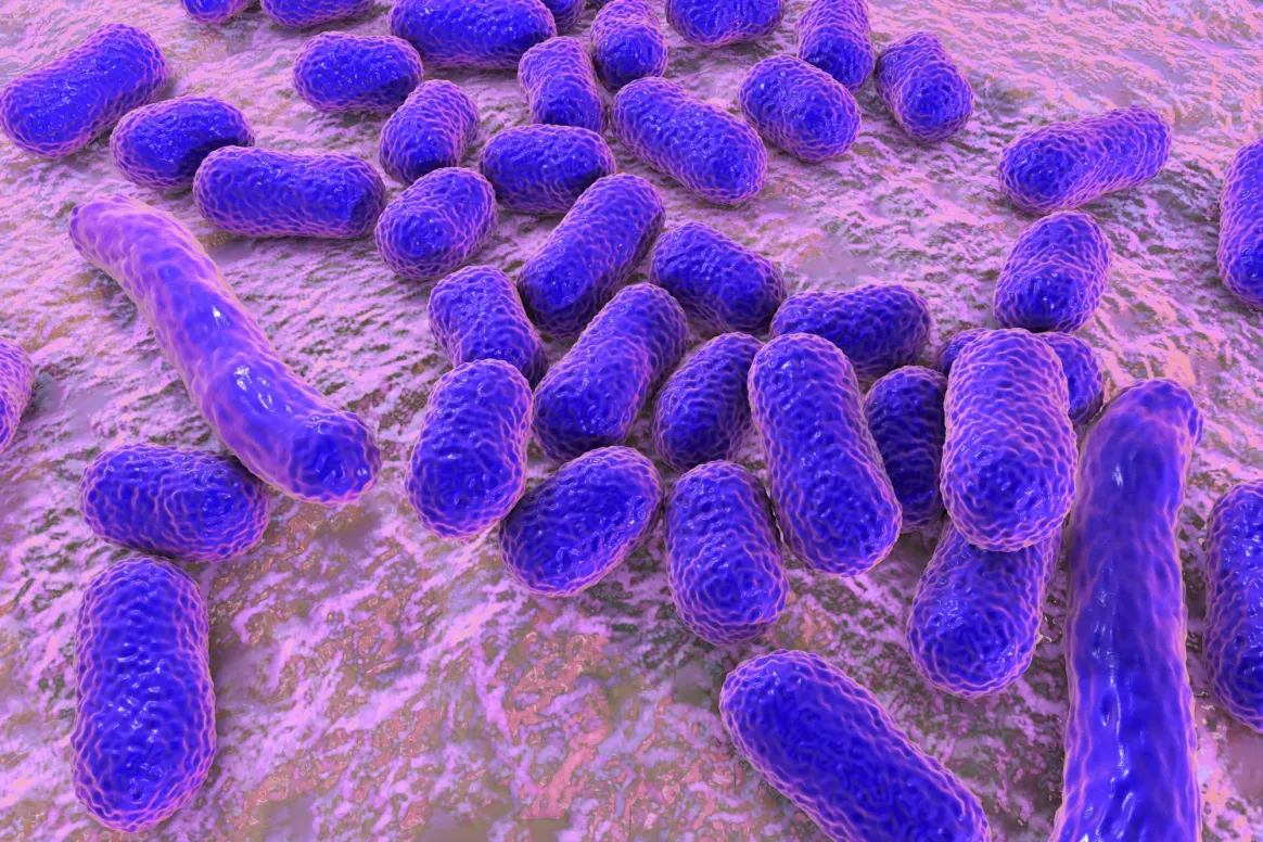 مضاد حيوي جديد يقتل البكتيريا المقاومة للأدوية