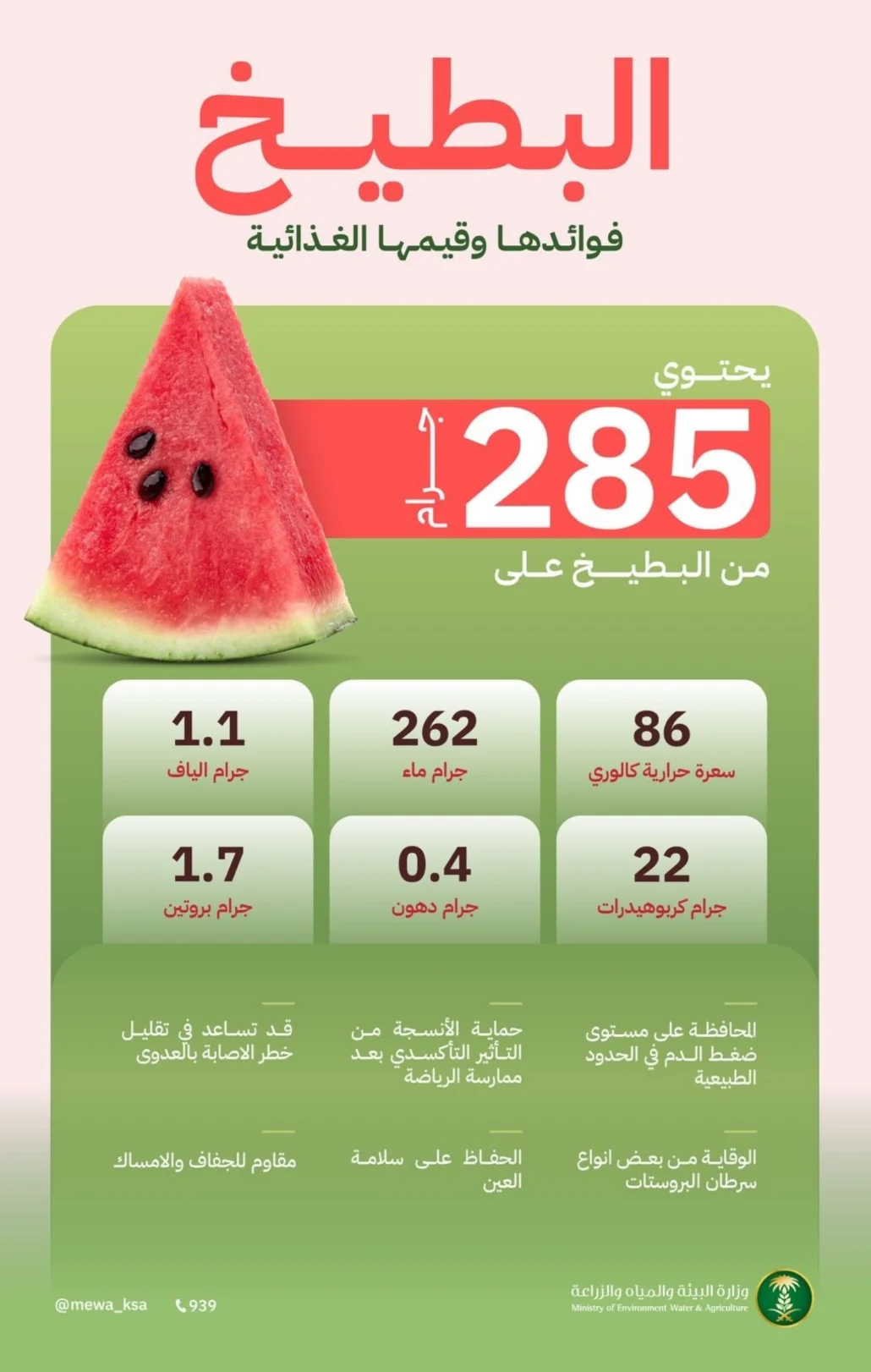 (285) جرامًا من البطيخ يحتوي على (262) جرامًا من الماء