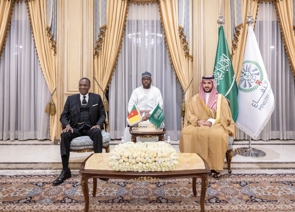 وزير الدفاع يبحث مع نظيره الكاميروني التعاون عسكرياً