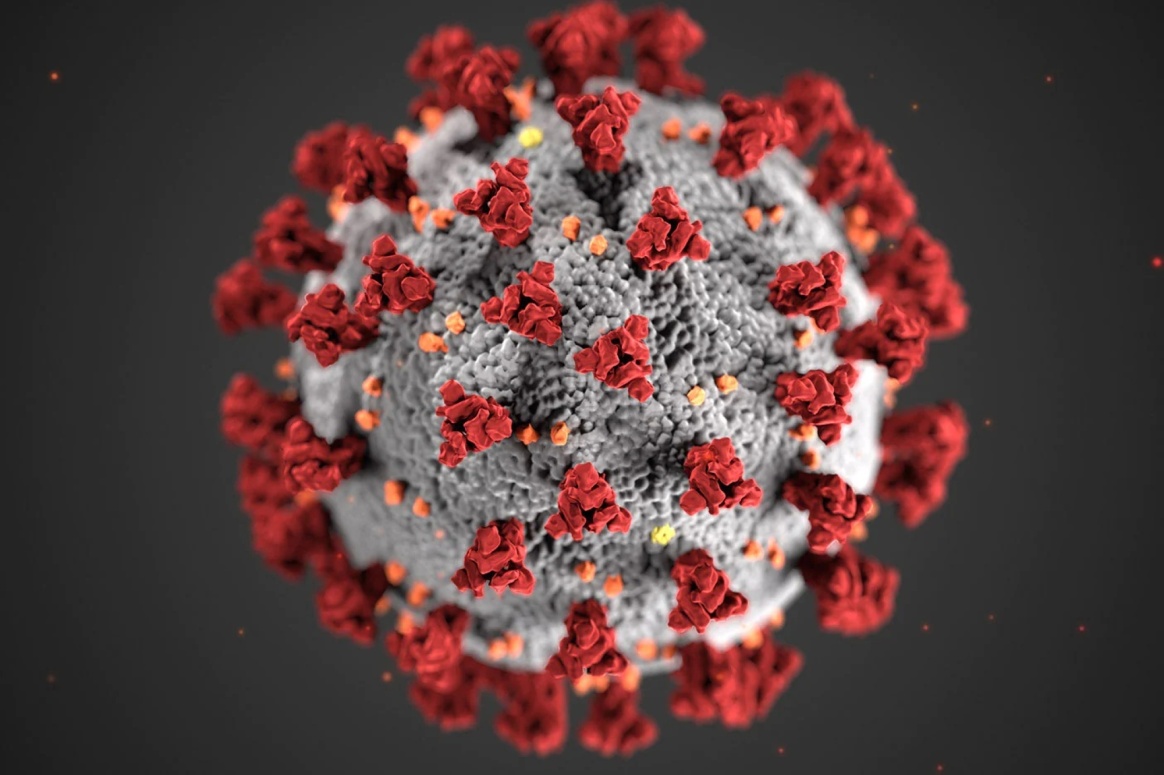اكتشاف طريقة للقضاء على فيروسات ومتحورات كورونا للأبد