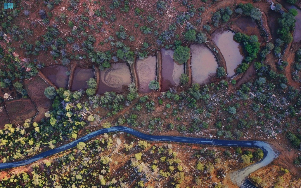 الأمطار رسمت لوحة بديعة في الطائف