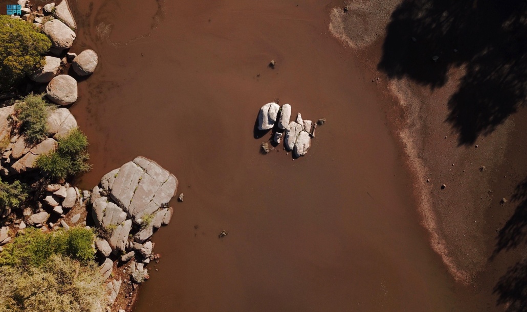 الأمطار رسمت لوحة بديعة في الطائف