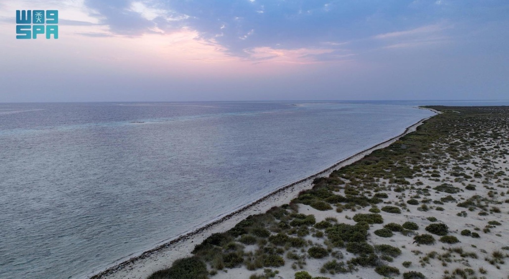 "أم العود" تعد واحدة من أجمل الجزر في البحر الأحمر