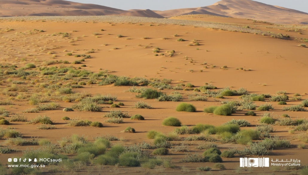 أول موقع للتراث العالمي الطبيعي على أراضي المملكة