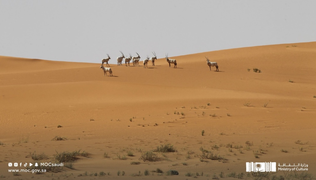 أول موقع للتراث العالمي الطبيعي على أراضي المملكة