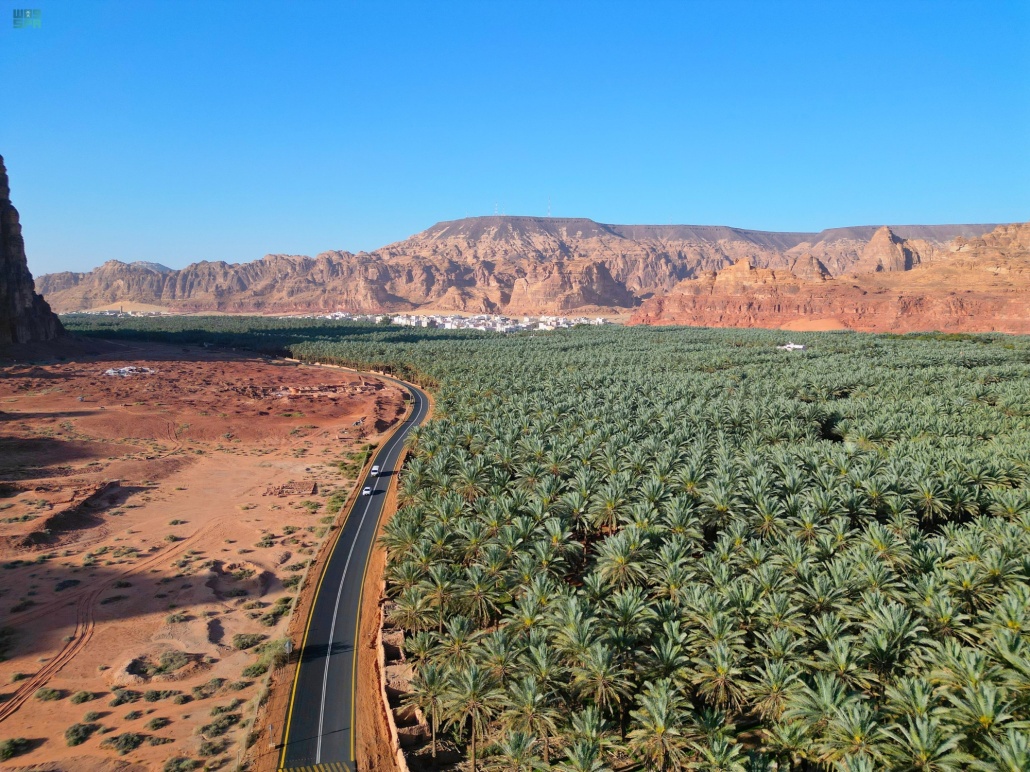 قطاع الزراعة في محافظة العُلا يشهد نموناً ملحوظاً في أعداد مزارع النخيل