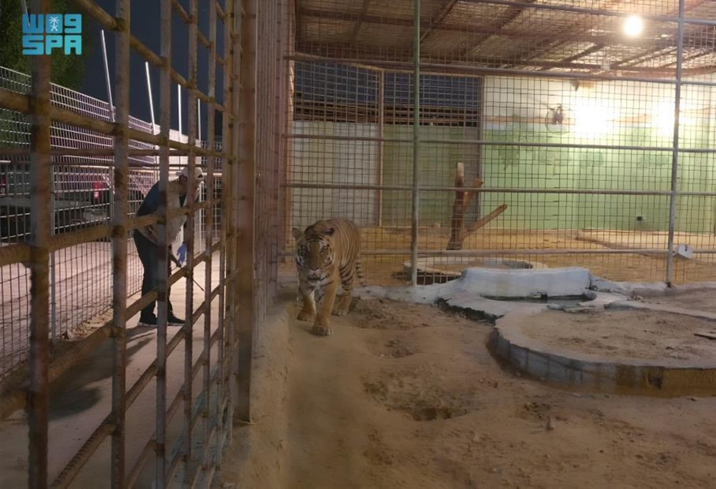 المنشأة مارست نشاط عرض كائنات فطرية "حديقة حيوان" دون ترخيص