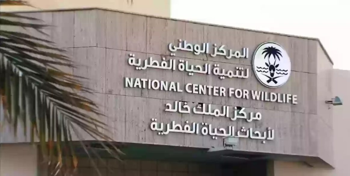 مواطن خليجي يقوم بصيد عدد من الكائنات الفطرية