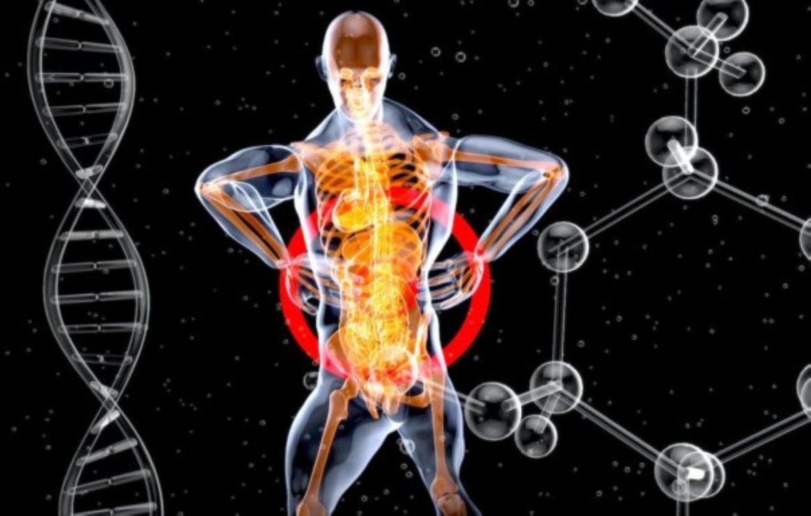 طريقة جديدة للتنبؤ بالأعضاء القابلة للفشل عبر فحص الدم