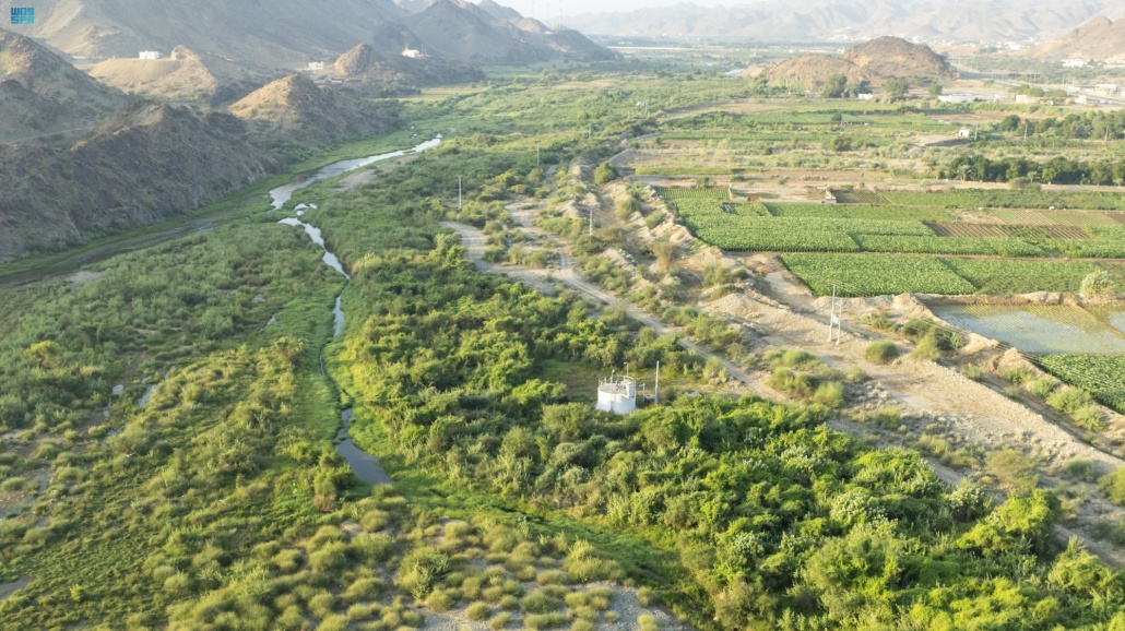 "وادي الأحسبة" بالمخواة.. لوحة طبيعية تزينها المياه الجارية والطبيعة الخضراء