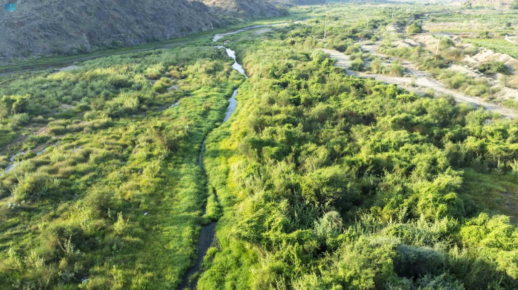 "وادي الأحسبة" بالمخواة.. لوحة طبيعية تزينها المياه الجارية والطبيعة الخضراء