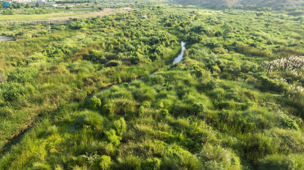 "وادي الأحسبة" بالمخواة.. لوحة طبيعية تزينها المياه الجارية والطبيعة الخضراء