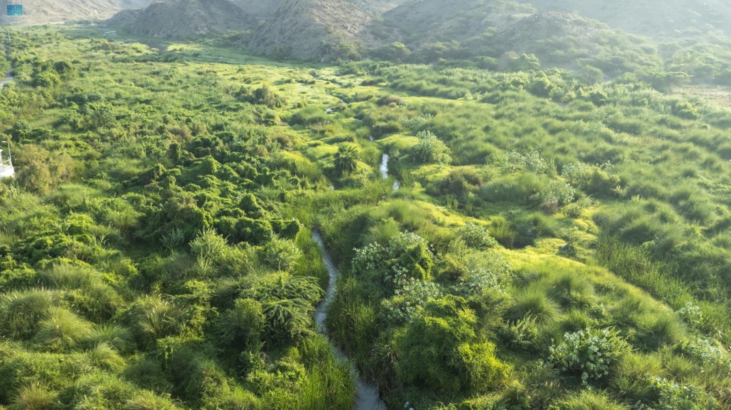 "وادي الأحسبة" بالمخواة.. لوحة طبيعية تزينها المياه الجارية والطبيعة الخضراء