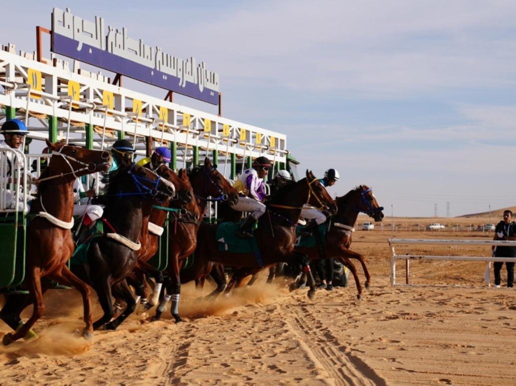 حفل السباقات العاشر بميدان فروسية الجوف