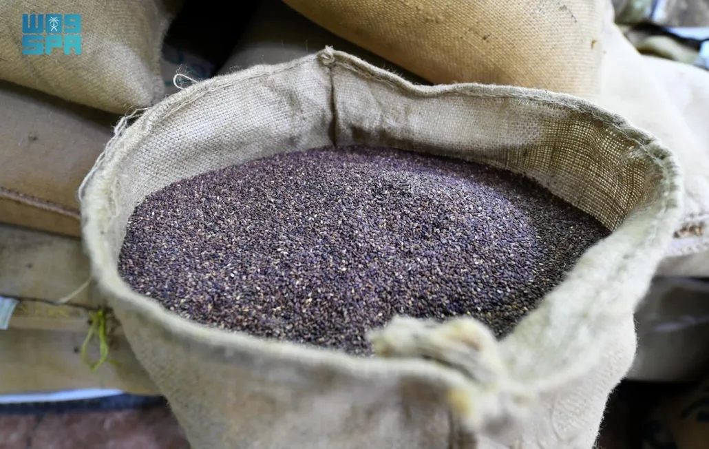 تشير الدراسات إلى أن زيت السمسم، يقي من العديد من أمراض القلب وتصلب الشرايين