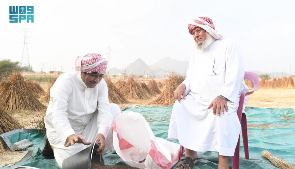 تشير الدراسات إلى أن زيت السمسم، يقي من العديد من أمراض القلب وتصلب الشرايين