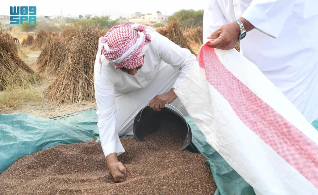 تشير الدراسات إلى أن زيت السمسم، يقي من العديد من أمراض القلب وتصلب الشرايين