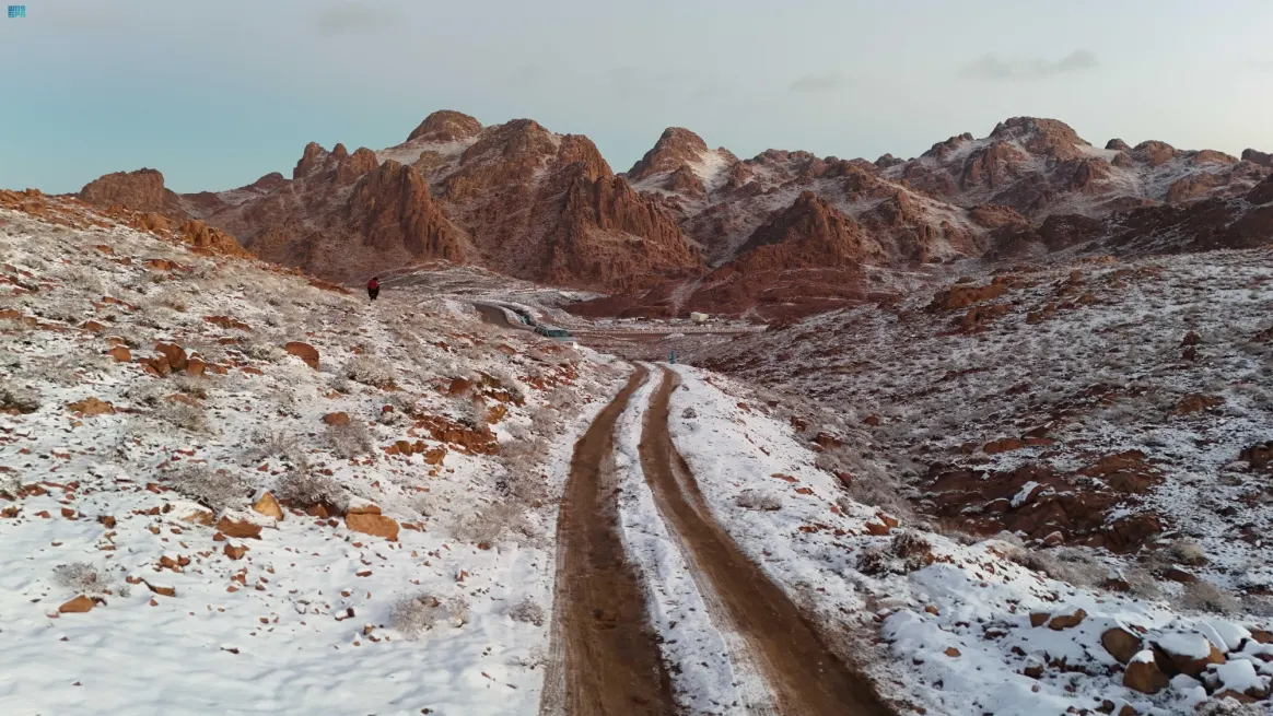 نقره لعرض الصورة في صفحة مستقلة