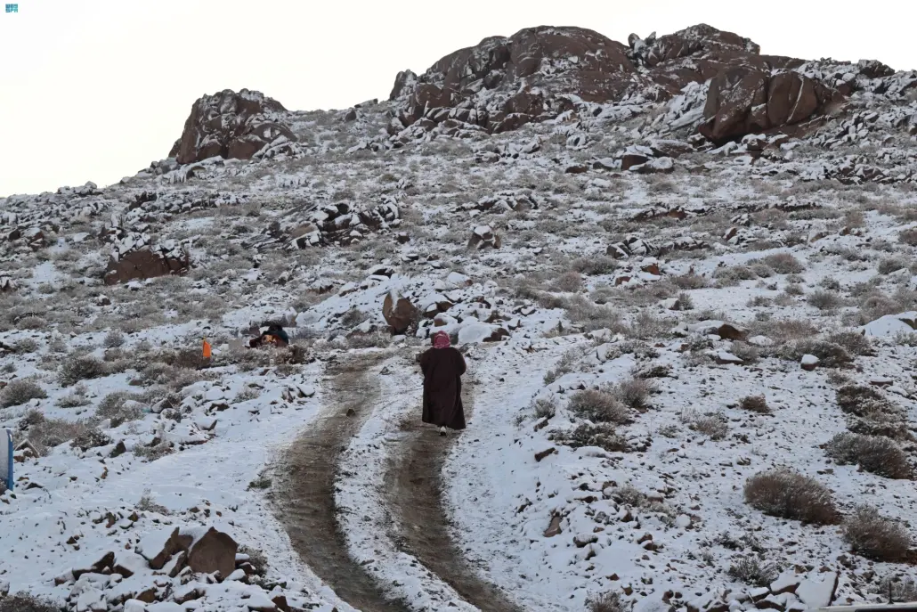 نقره لعرض الصورة في صفحة مستقلة