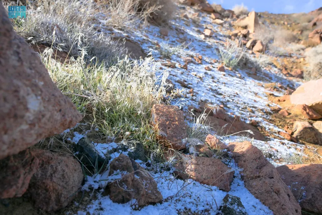 نقره لعرض الصورة في صفحة مستقلة