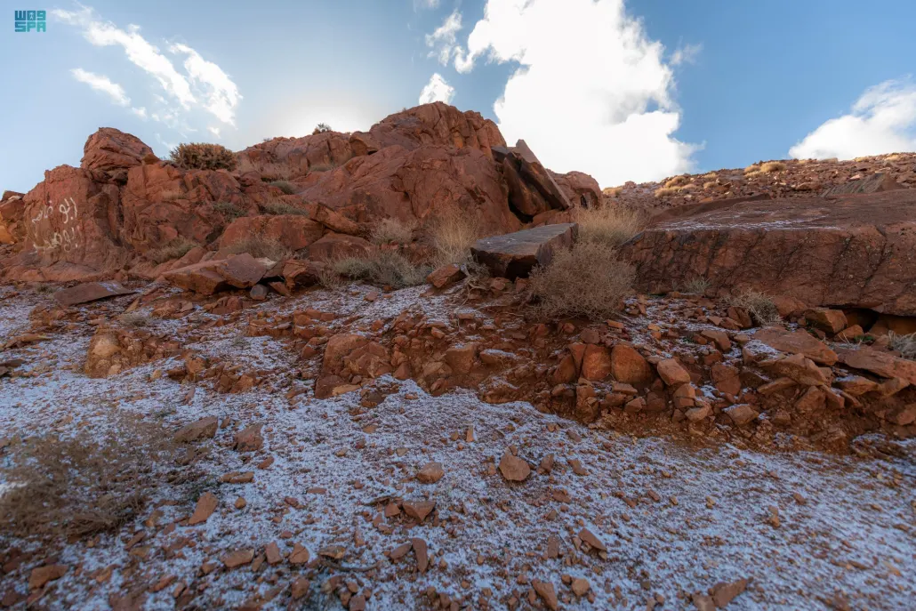 نقره لعرض الصورة في صفحة مستقلة