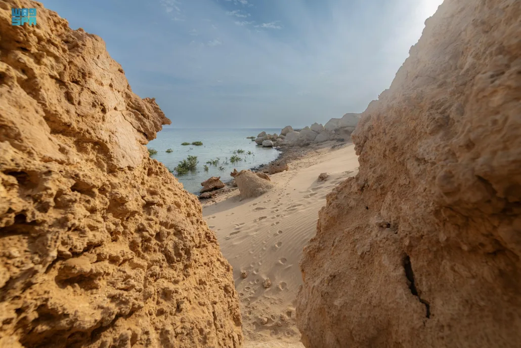شاطئ "المسدود" يمثل جواهر طبيعية في المملكة