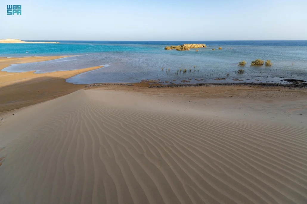 شاطئ "المسدود" يمثل جواهر طبيعية في المملكة