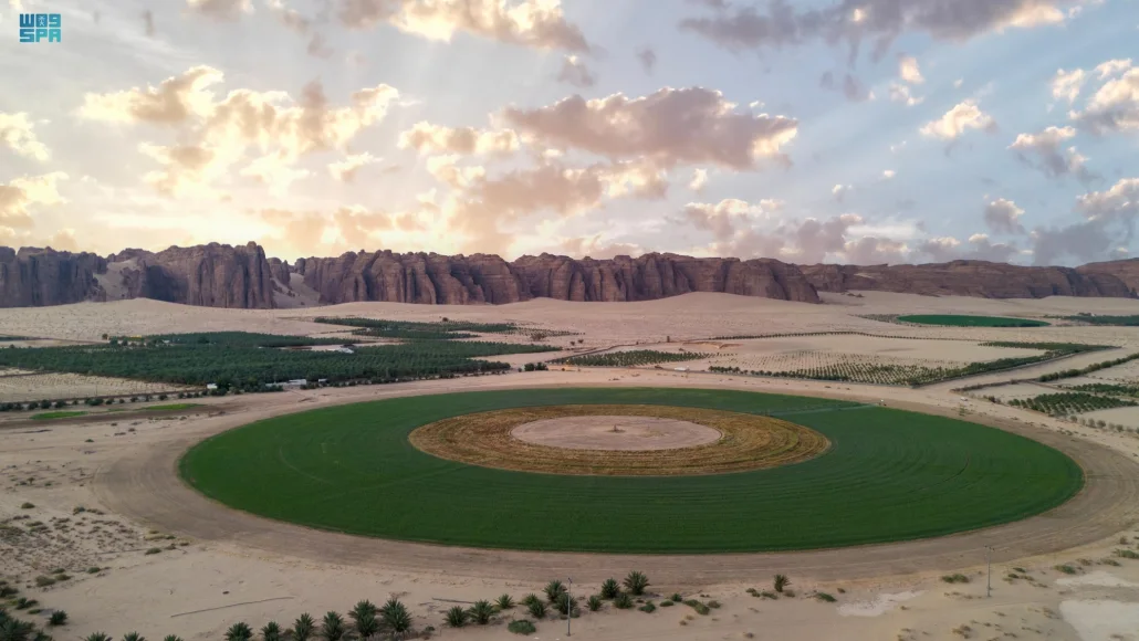 تشتهر بالحيوانات المتنوعة والنباتات الصحراوية