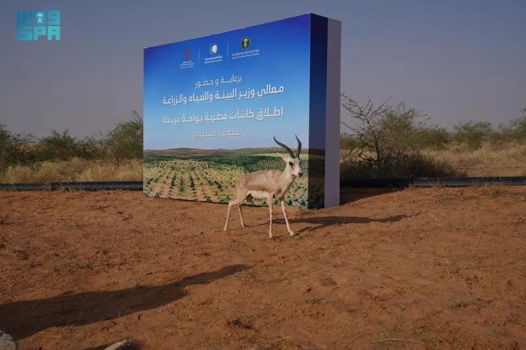 الإطلاق يسهم في تطوير وتنفيذ خطط وطنية لتنمية الحياة الفطرية