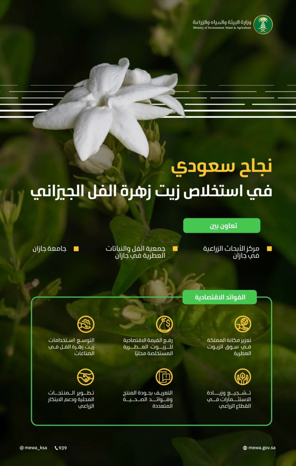 المستخلص الجيزاني يتميز بتفوقه الواضح على نظيريه الهندي والمصري