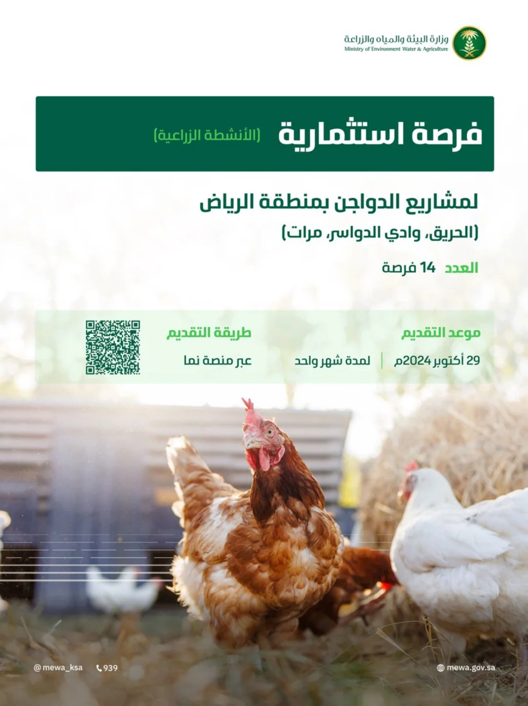 ابتداءً من 29 أكتوبر الجاري