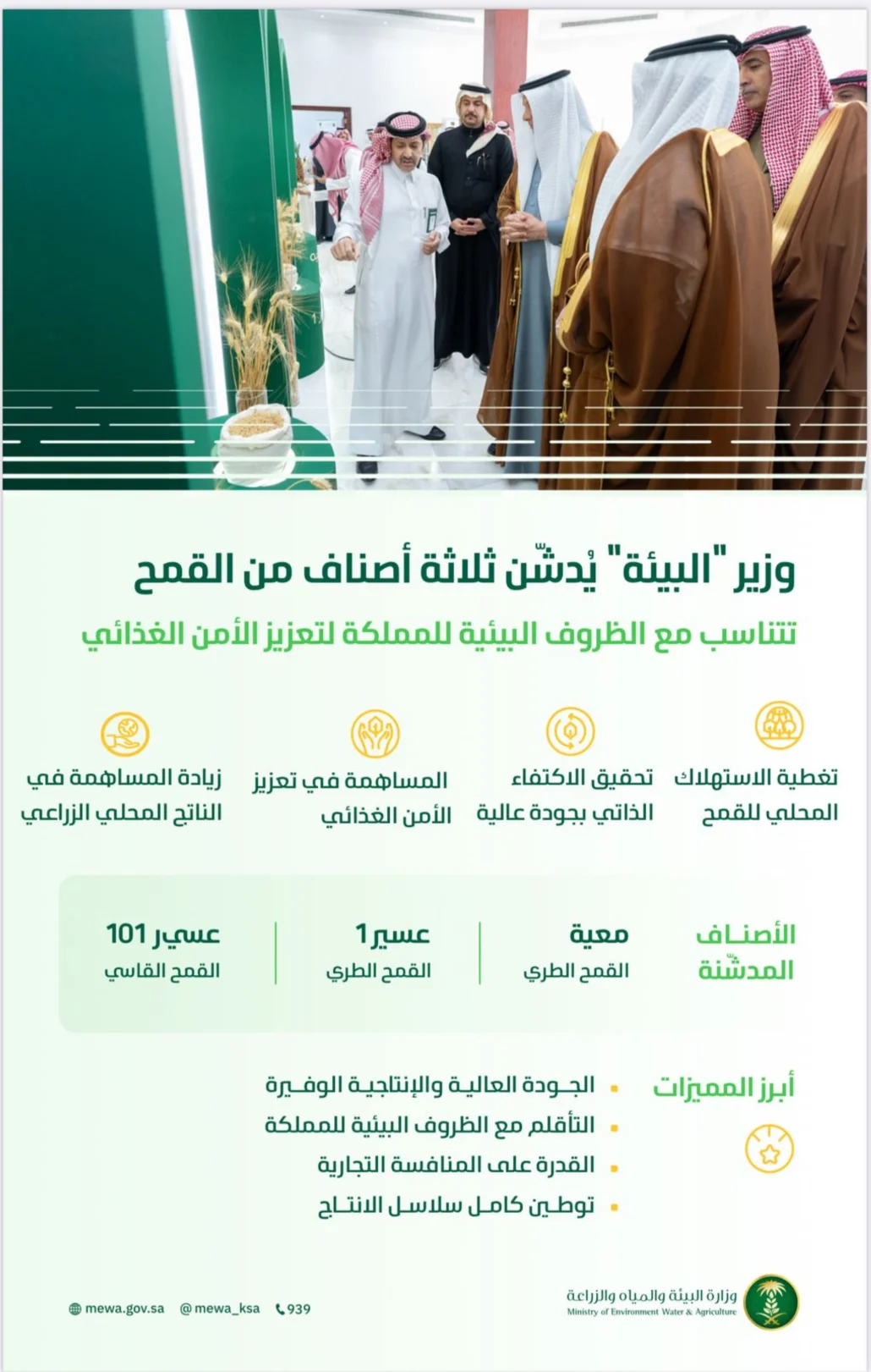 تمتاز هذه الأصناف بالجودة العالية وقدرتها على المنافسة مع الأصناف التجارية المستوردة والمحلية