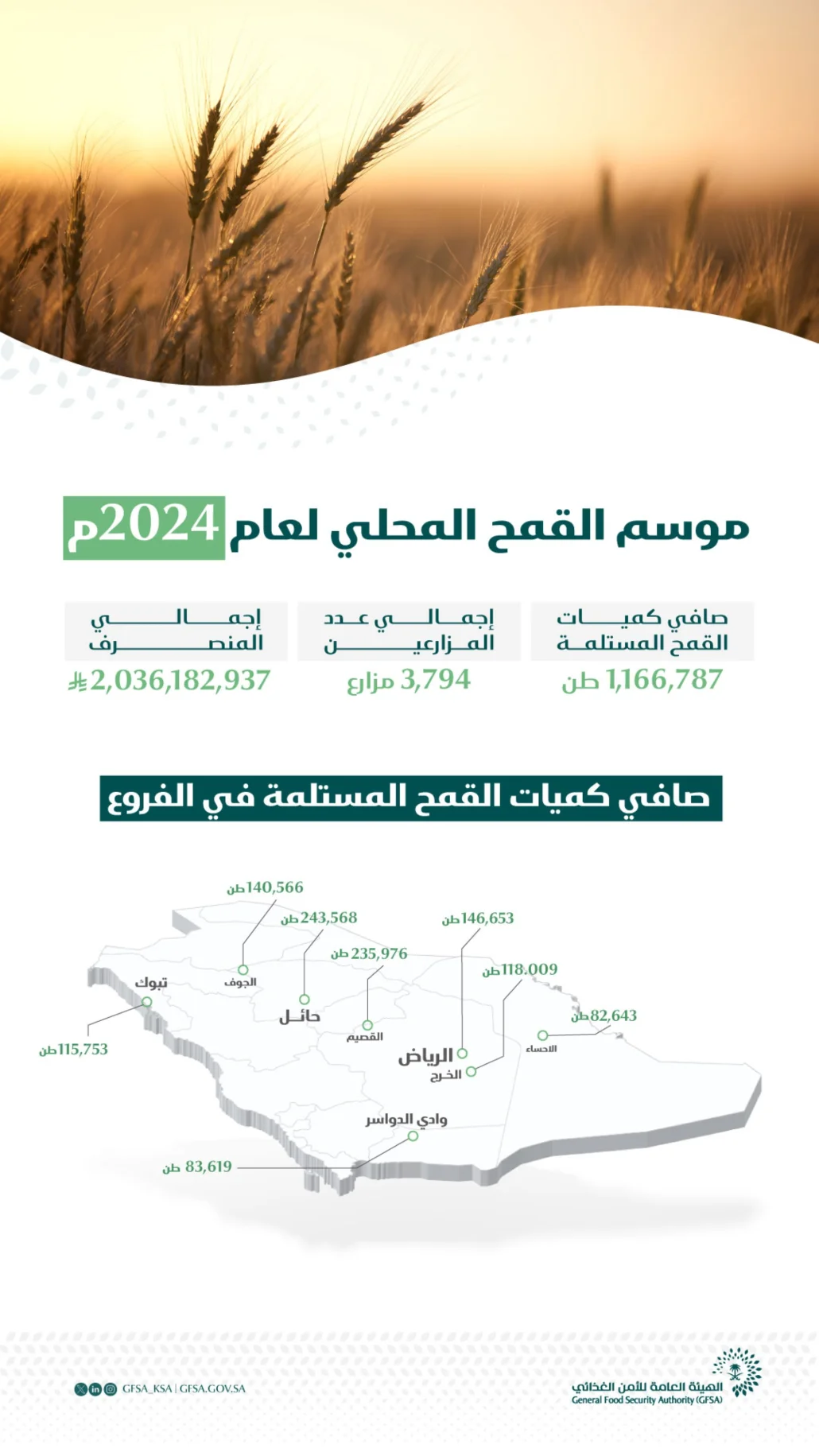 القمح المحلي يُعَدّ واحدًا من 3 مصادر تعتمد عليها الهيئة في تأمين احتياجات المملكة