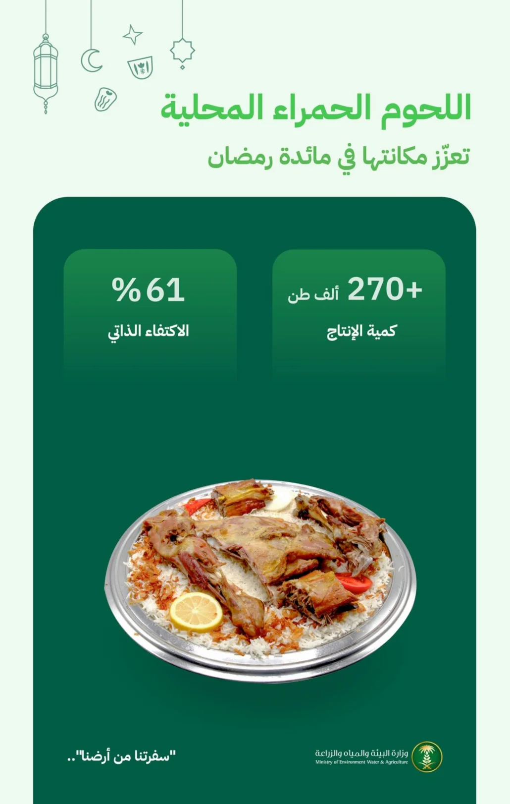 تضم المملكة أكثر من 20.6 مليون رأس من الضأن