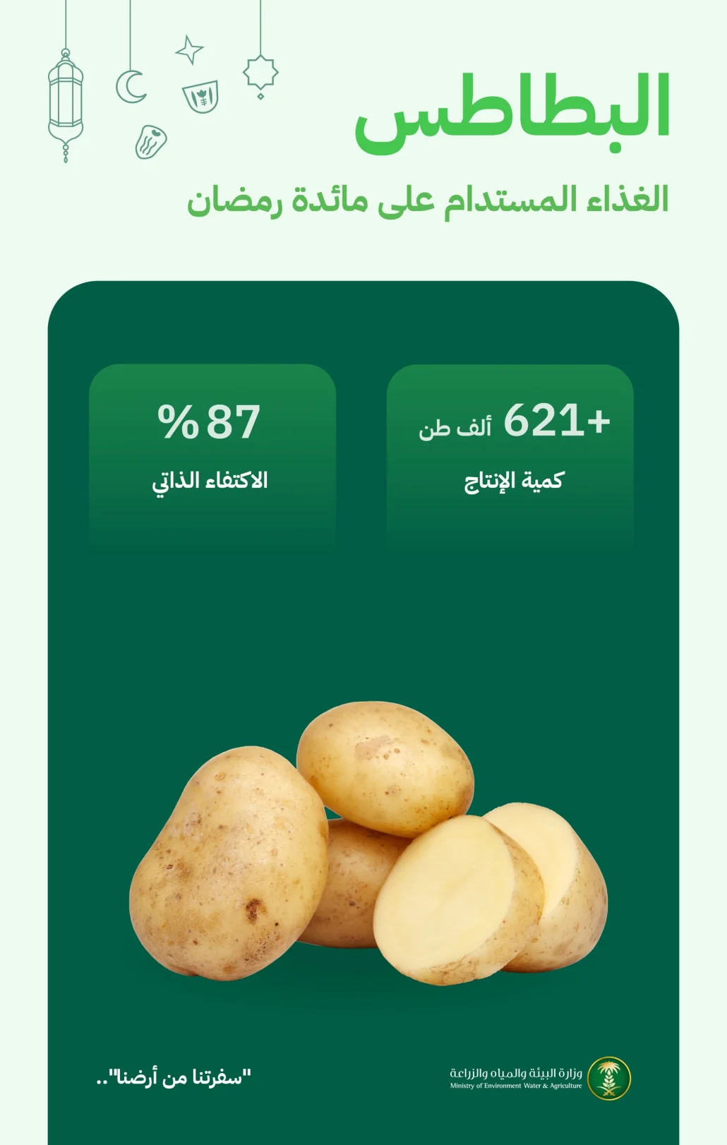87% نسبة الاكتفاء الذاتي من البطاطس