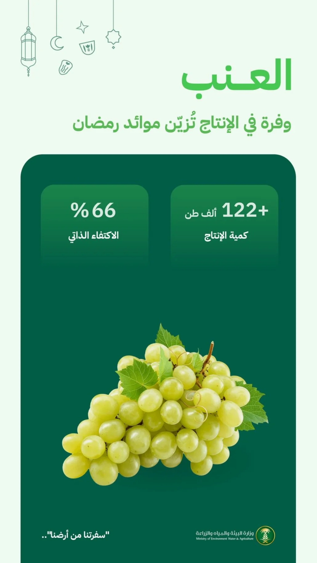إنتاج المملكة من العنب تجاوز 122.3 ألف طن
