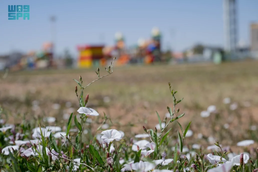 تحتضن الحديقة مجمعًا متكاملًا لألعاب الأطفال