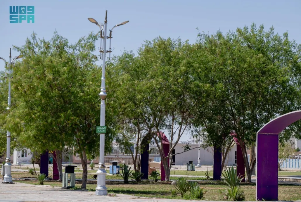 تحتضن الحديقة مجمعًا متكاملًا لألعاب الأطفال