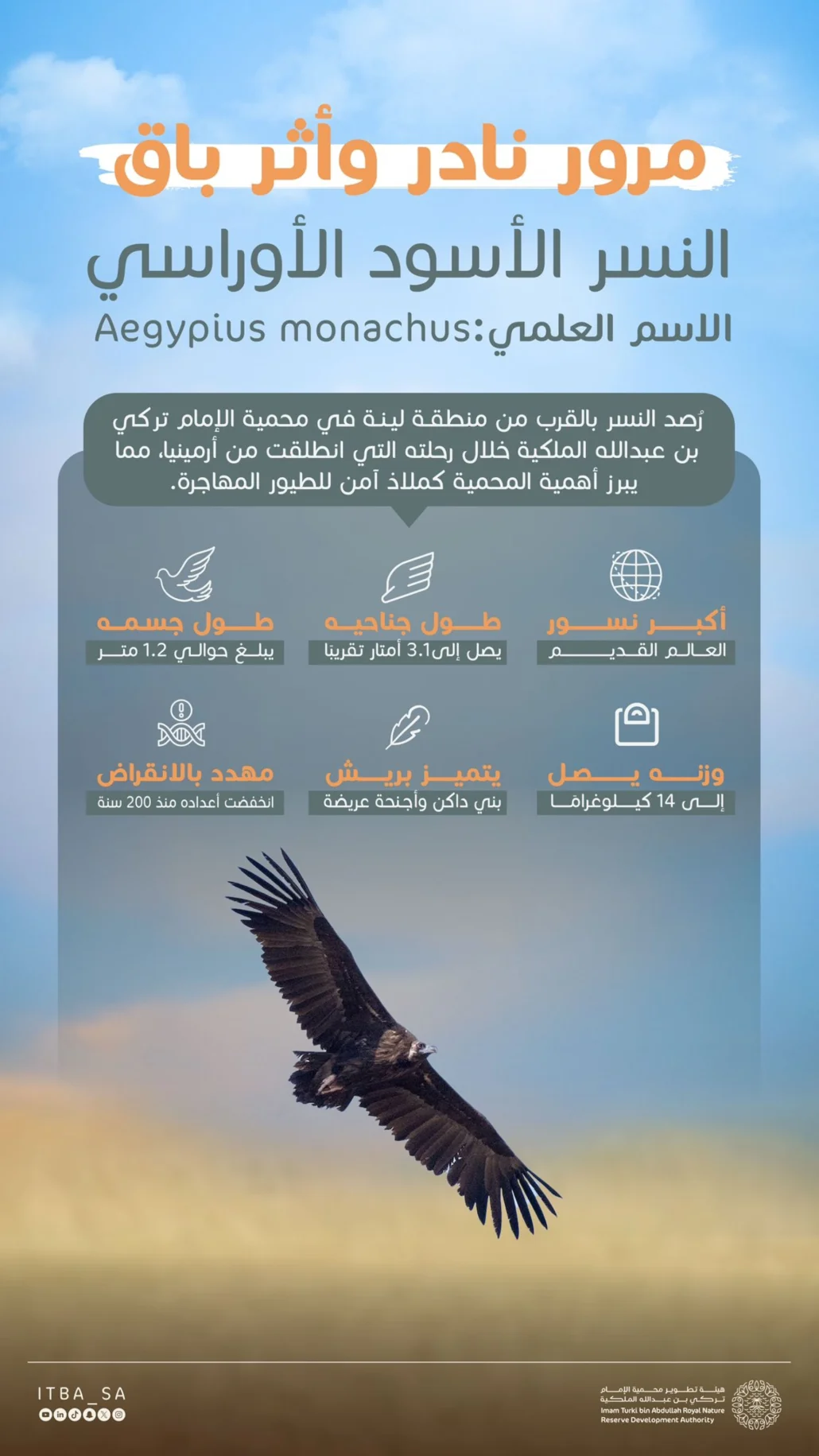 انخفاض أعداده على مدى القرنين الماضيين