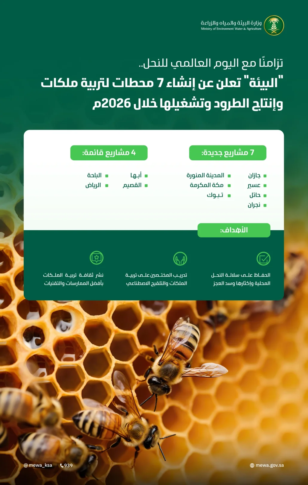 "البيئة" تنشئ 7 محطات لتربية ملكات النحل وإنتاج الطرود