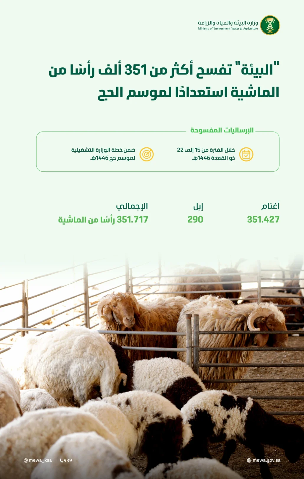 فسح 351 ألف رأس ماشية استعدادًا لموسم الحج