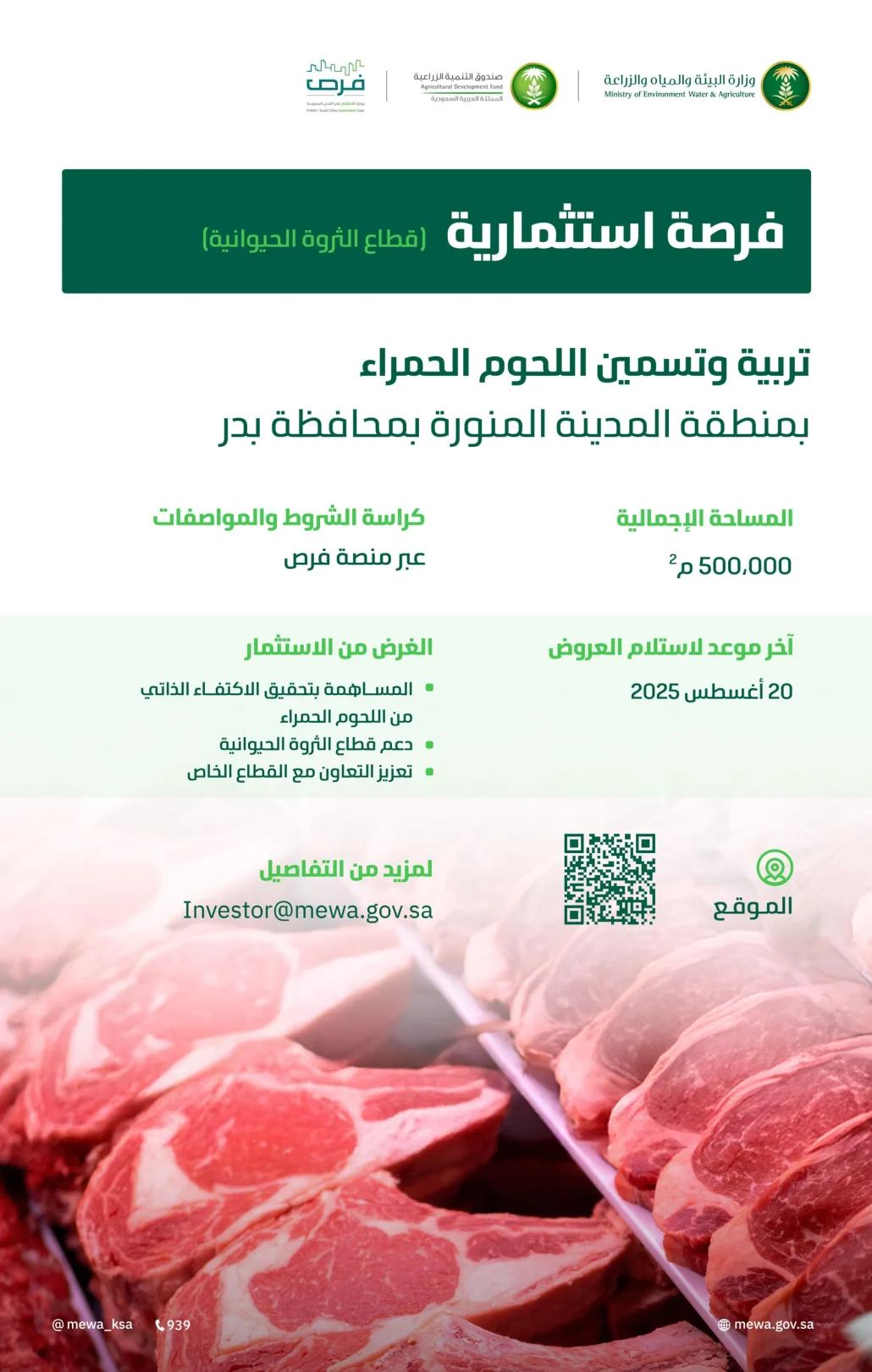 فرصة استثمارية لإقامة مشروع لتربية وتسمين اللحوم الحمراء